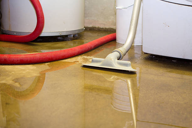 Water damage restoration experts in HI